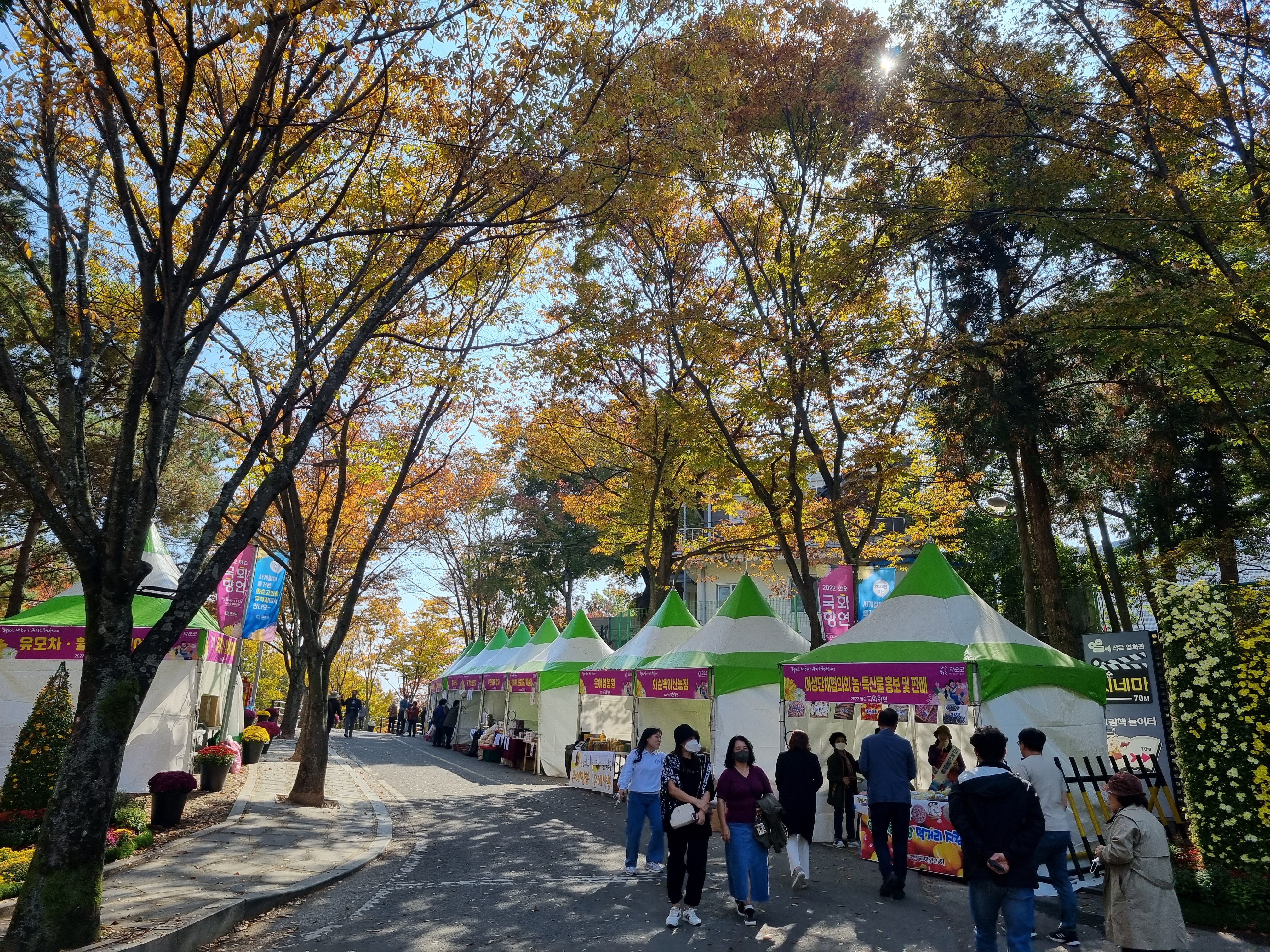 화순 국화향연 축제에서 농특산물 판매 부스를 운영하고 있다. 화순군 제공