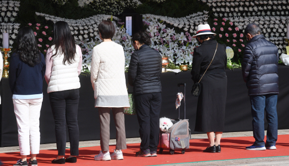 31일 시민들이 서울광장에 마련된 이태원 사고 사망자 합동분향소를 방문해 조문을 하고있다. 2022.10.31 안주영 전문기자