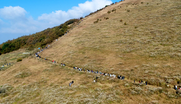 제주 새별오름 모습