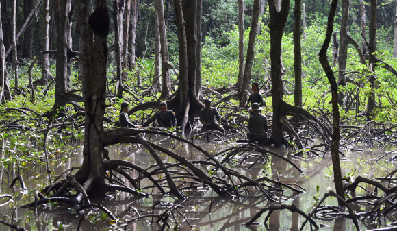 낮에도 겨우 햇빛 한 줄기 들 정도로 빽빽한 베트남 껀저의 맹그로브 정글. 베트남전 당시 게릴라전을 벌이는 여성 등 이른바 ‘10부대원’들의 모습을 표현한 조형물이 정글 곳곳에 세워져 있다.