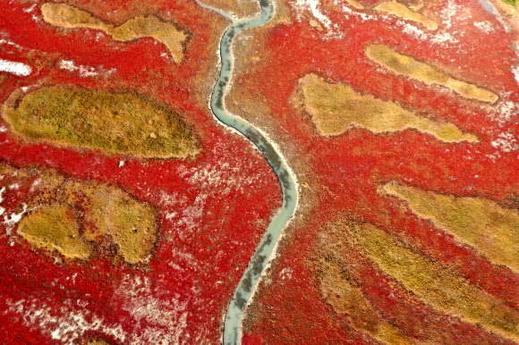 단풍빛으로 물든 가을갯벌