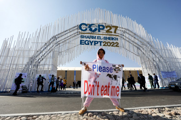 7일(현지시간) 이집트 샤름 엘 셰이크에서 열린 제27차 유엔기후변화협약 당사국회의(COP27) 개막 행사장 입구에서 환경운동가가 1인 시위를 벌이고 있다.  로이터 연합뉴스