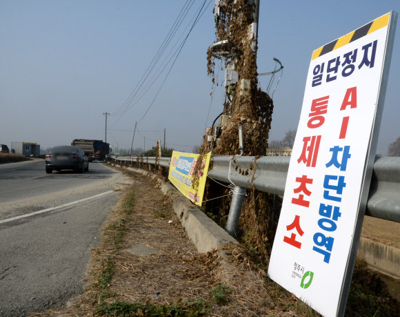 고병원성 조류 인플루엔자(AI) H5N1형 의심축이 발생한 충북 청주시 청원구 북이면에 10일 오전출입금지 입간판이 설치돼 있다. H5형 조류인플루엔자 항원이 검출된 북이면 한 육용오리 농장은 지난 3일 고병원성 조류인플루엔자가 발생한 청원구 오창읍 오리농장에서 2.5㎞ 떨어진 보호지역 안에 있는 것으로 확인됐다. 방역당국은 초동방역반을 긴급 투입하고, 사육 중인 오리 2만2000마리를 이동식 열처리 방식으로 살처분했다. 이 농장에 대한 고병원성 확진 여부는 1~3일 뒤 나올 예정이다. 2022.11.10. 뉴시스