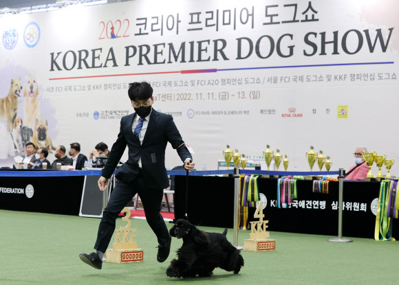 코리아 프리미어 도그쇼 개막
