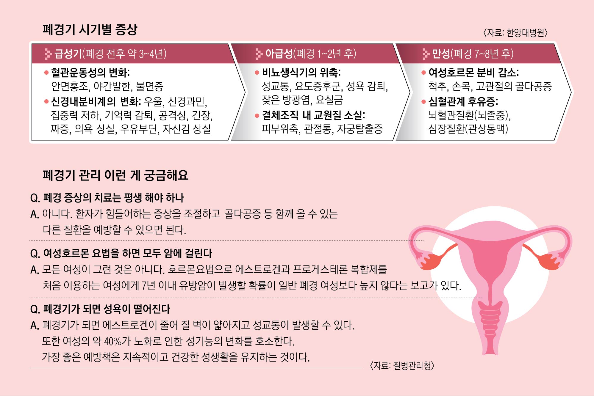 안면홍조·불면증 등 '두 번째 사춘기' 왔다면… 골다공증 검사 꼭 하세요 | 서울신문