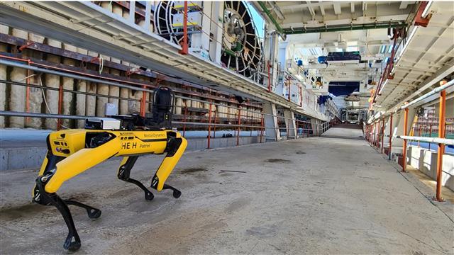 현대건설이 로봇 개 ‘스팟’을 터널 현장에 투입, 터널 보링 머신(TBM)을 모니터링하고 있다. 현대건설 제공