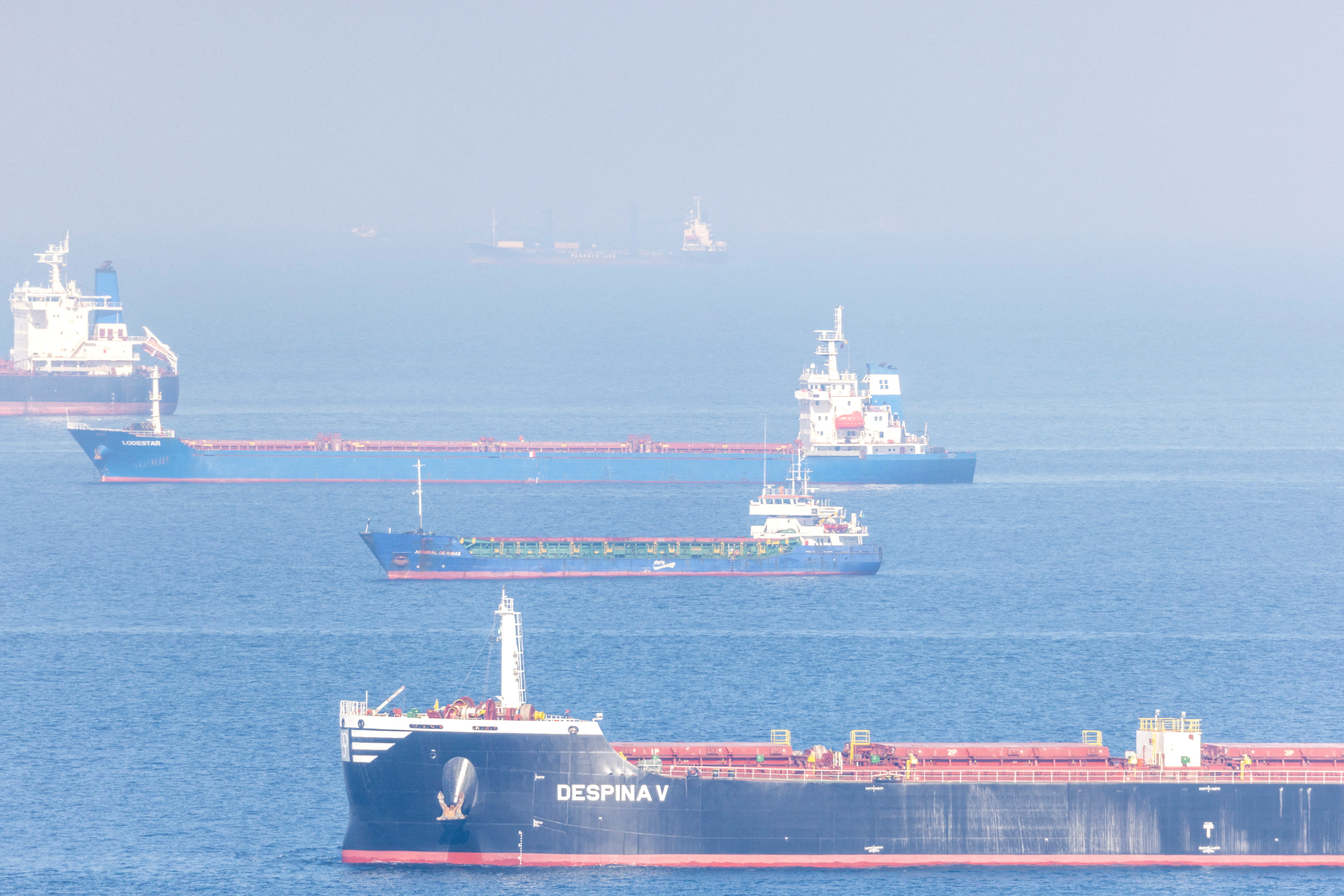 FILE PHOTO: Cargo ship Despina V, carrying Ukrainian grain, is seen in the Black Sea off Kilyos near Istanbul