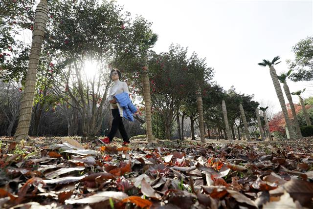 포근한 날씨에 산책