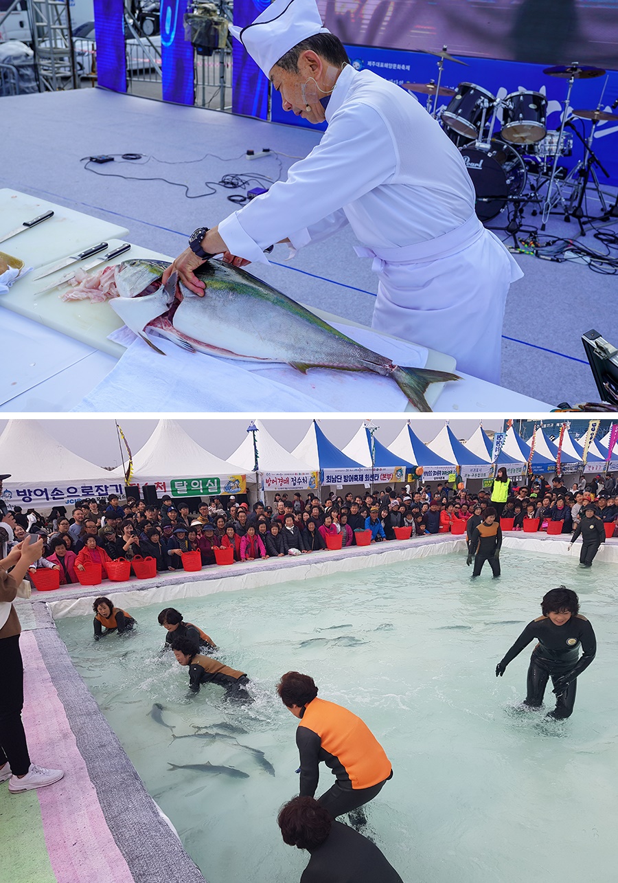 제22회 최남단 방어축제가 26일부터 한달동안 대정읍 모슬포항 일대에서 열린다. 제주도 제공