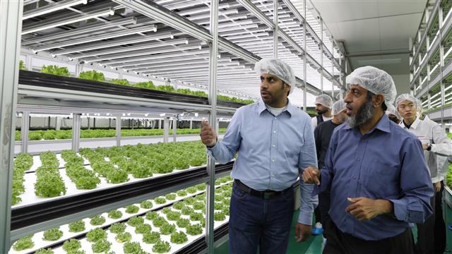 오만 농수산부 관계자들이 농심 안양공장 내 양산형 모델 스마트팜을 둘러보고 있다. 농심 제공