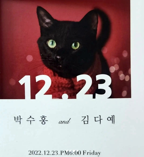 박수홍 김다예 부부 청첩장 공개. 2022.11.24 <br>개그맨 김수용 인스타그램