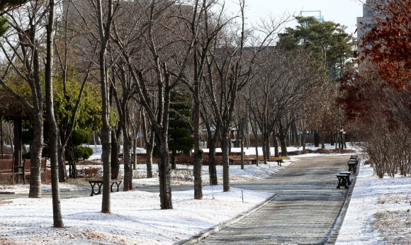 첫눈 내린 내포신도시