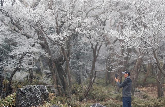 겨울로 가는 제주