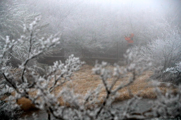 눈꽃 핀 한라산 1100고지
