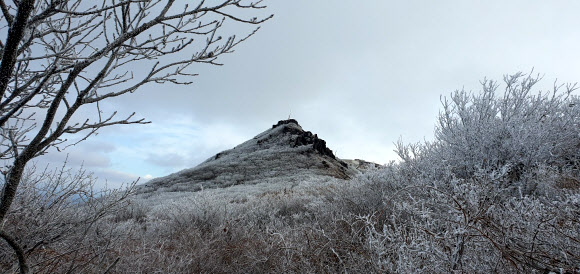 무등산에 핀 상고대