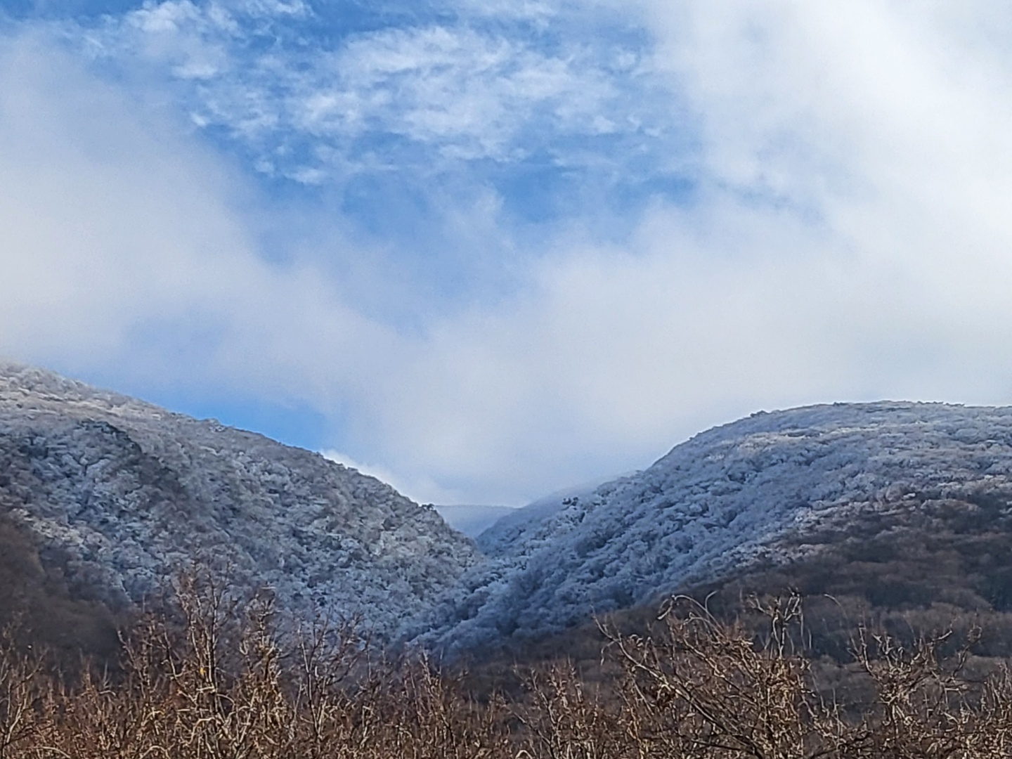 지난달 30일 한라산에 내린 첫눈이 장관을 이루는 가운데 2일 어리목 주차장 전망대에서 본 하얀 세상 겨울왕국.