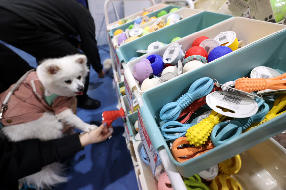 9일 오후 서울 강남구 세텍(SETEC)에서 열린 ‘크리스마스 서울펫쇼’에서 참관객이 반려견과 장난감을 고르고 있다. 2022.12.9  연합뉴스