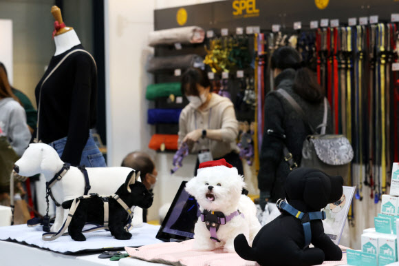 9일 오후 서울 강남구 세텍(SETEC)에서 열린 ‘크리스마스 서울펫쇼’에서 참관객들이 반려동물 용품을 살펴보고 있다. 2022.12.9  연합뉴스