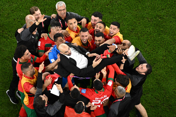 아프리카 국가 최초로 월드컵 준결승에 진출하는 위업을 이룬 모로코 선수들이 11일(한국시간) 앗수마마 스타디움에서 열린 2022 카타르월드컵 포르투갈과의 8강전을 1-0 승리로 마친 뒤 왈리드 레그라구이 감독을 헹가래치고 있다. 도하 AFP 연합뉴스
