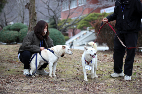곰이·송강, 광주에 새 보금자리
