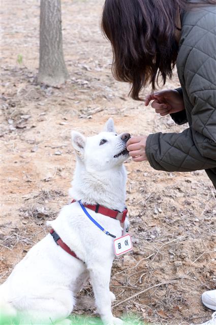 ‘곰이 잘했어!’