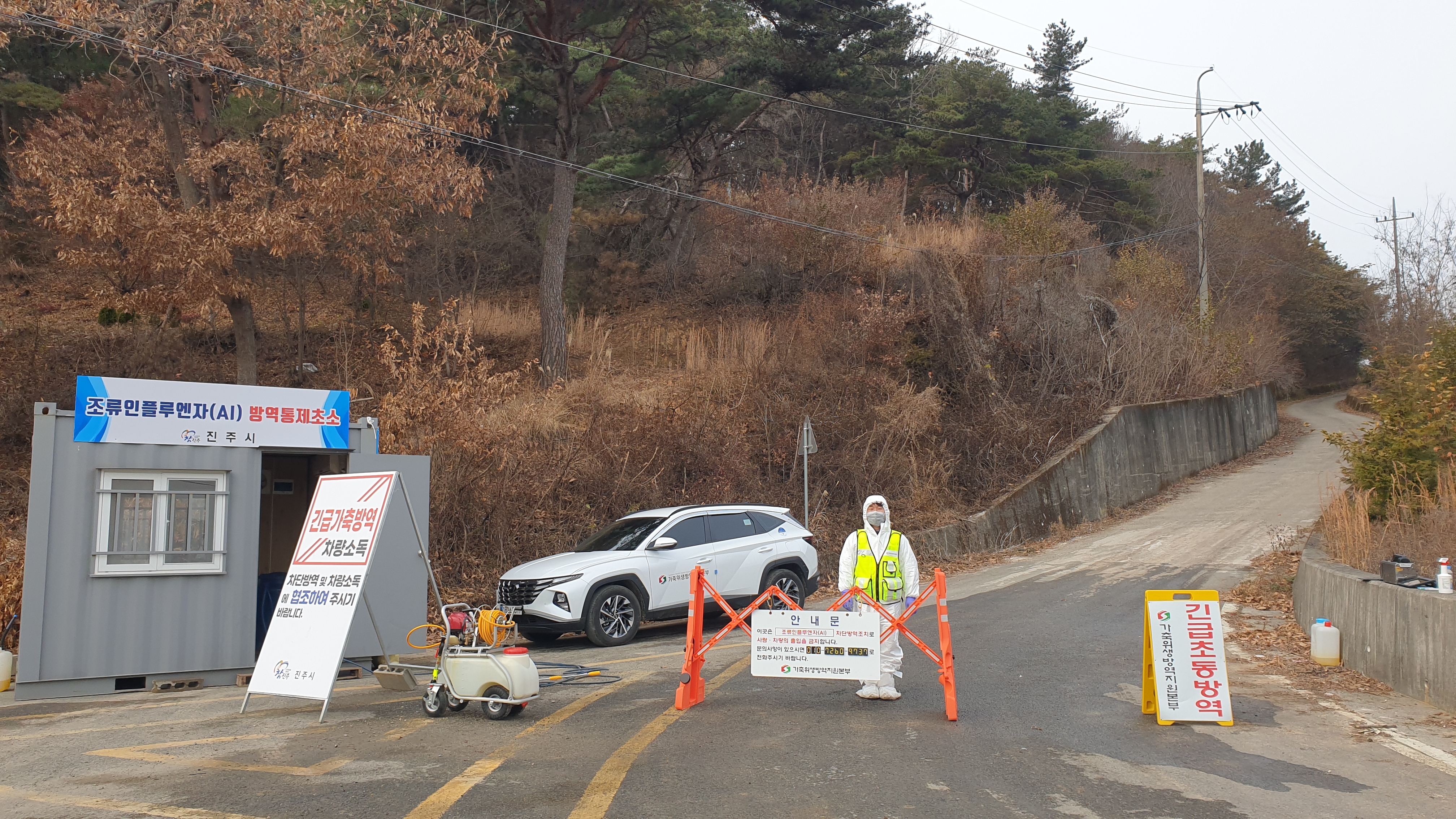 경남 진주시 육용오리 사육농가에서 경남 첫 가금농가 고병원성 AI 확진.