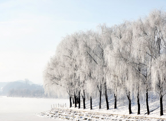 한파의 선물…파로호 상고대