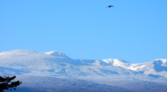 20일 지난 주말 내린 폭설이 쌓여있는 한라산 정상부에 아름다운 설경이 펼쳐져 시선을 사로 잡고 있다. 제주 한라산에는 17일부터 18일 이틀 사이 최고 30㎝가 넘는 눈이 내렸다. 2022.12.20. 뉴시스