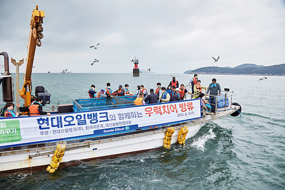 현대오일뱅크의 지역 상생 활동 중 하나인 ‘바다 가꾸기 사업’ 모습. 본사가 있는 서산 대산 인근 바다의 수산 자원을 보존하고자 올해로 20회째 25만마리 정도의 우럭 치어를 방류하고 있다. 현대오일뱅크 제공