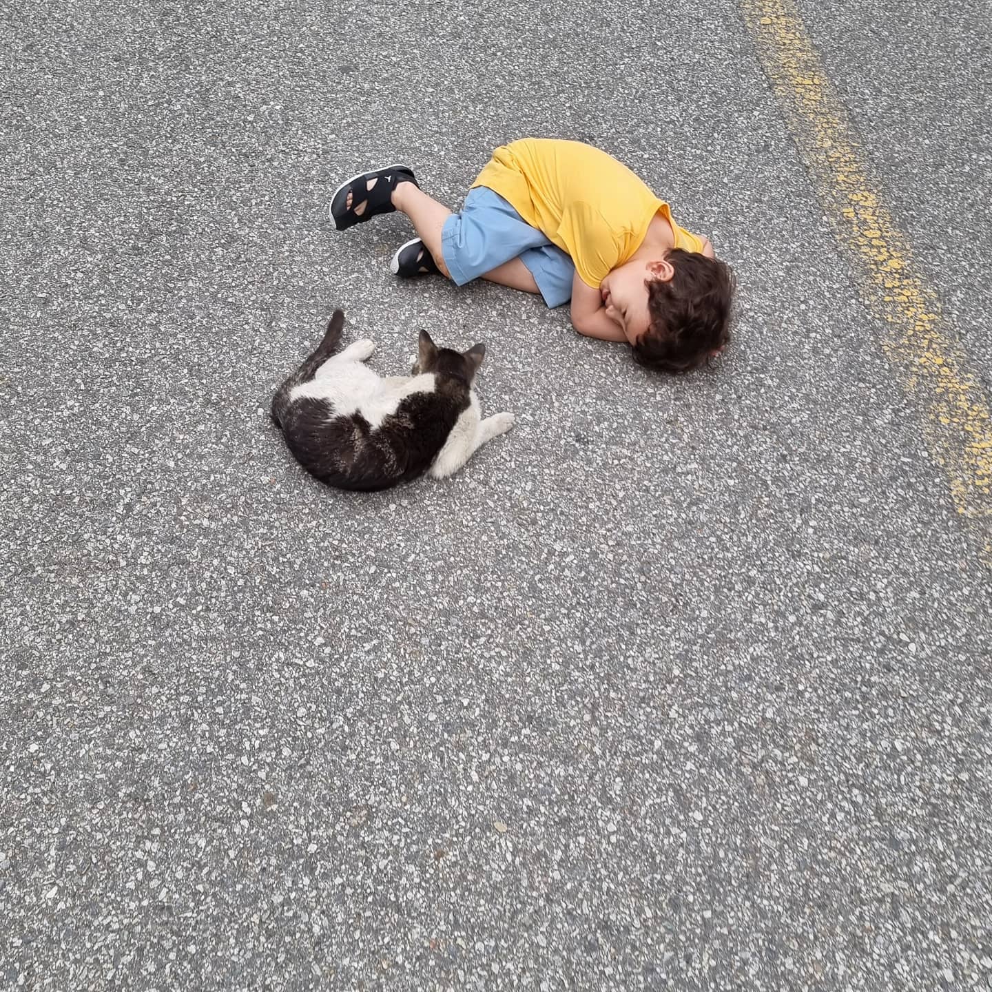 강형욱 인스타그램  