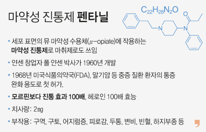 그래픽 이해영 기자
