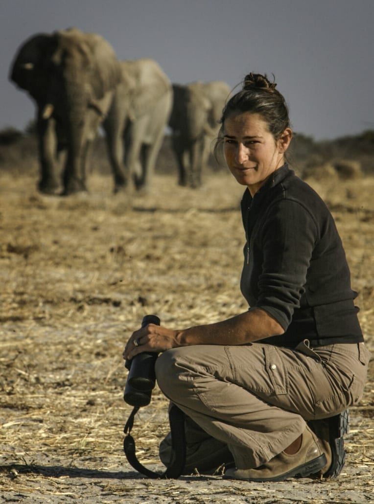 30년 이상 코끼리 생태를 연구한  케이틀린 오코넬은  인간들의 공동체 회복을 위해서도 동물 의례 연구가 필요하다고 강조한다.