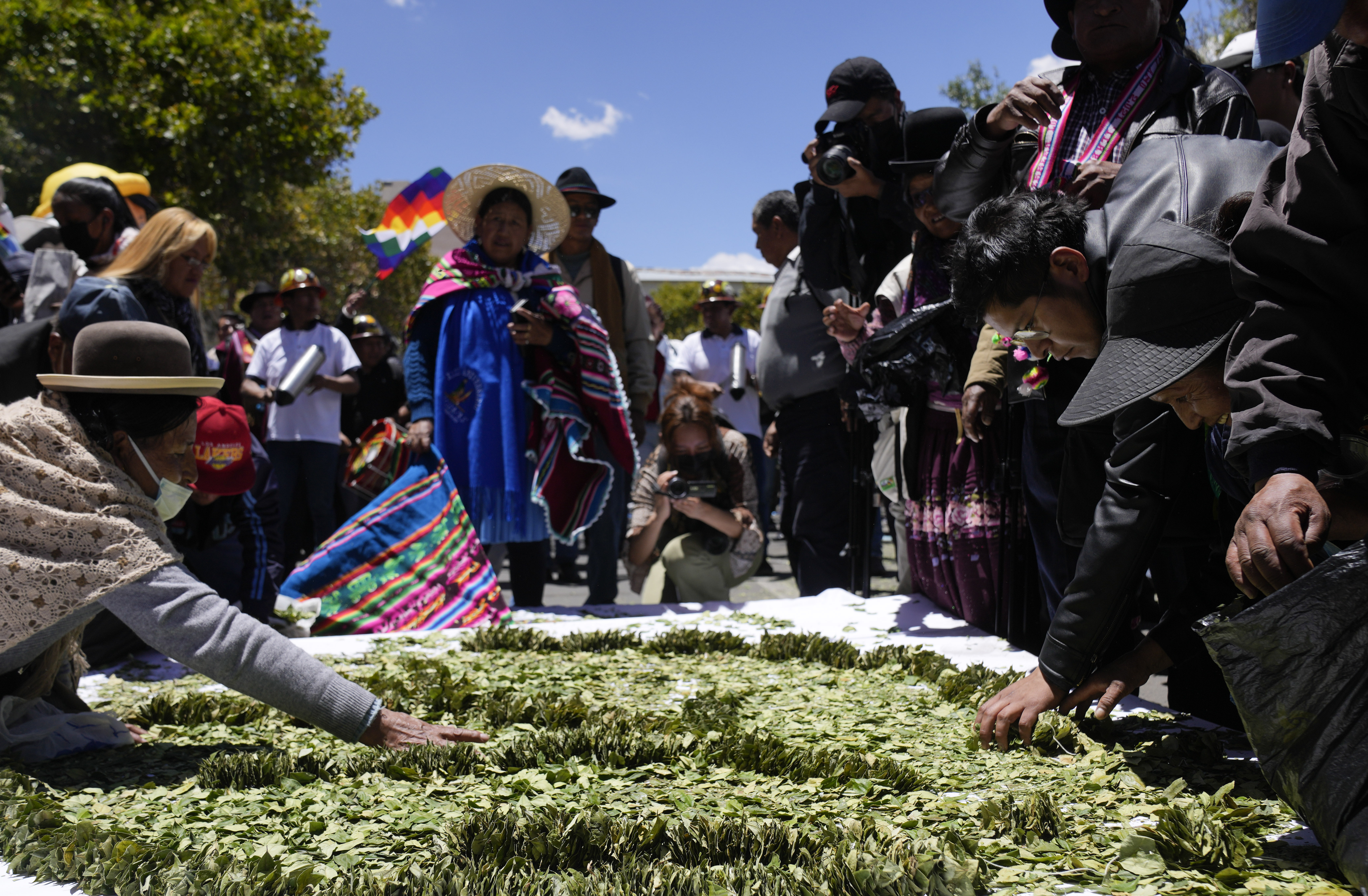 볼리비아에서 지난 11일(현지시간) 코카잎 씹기 축제가 열리고 있다. AP 연합뉴스