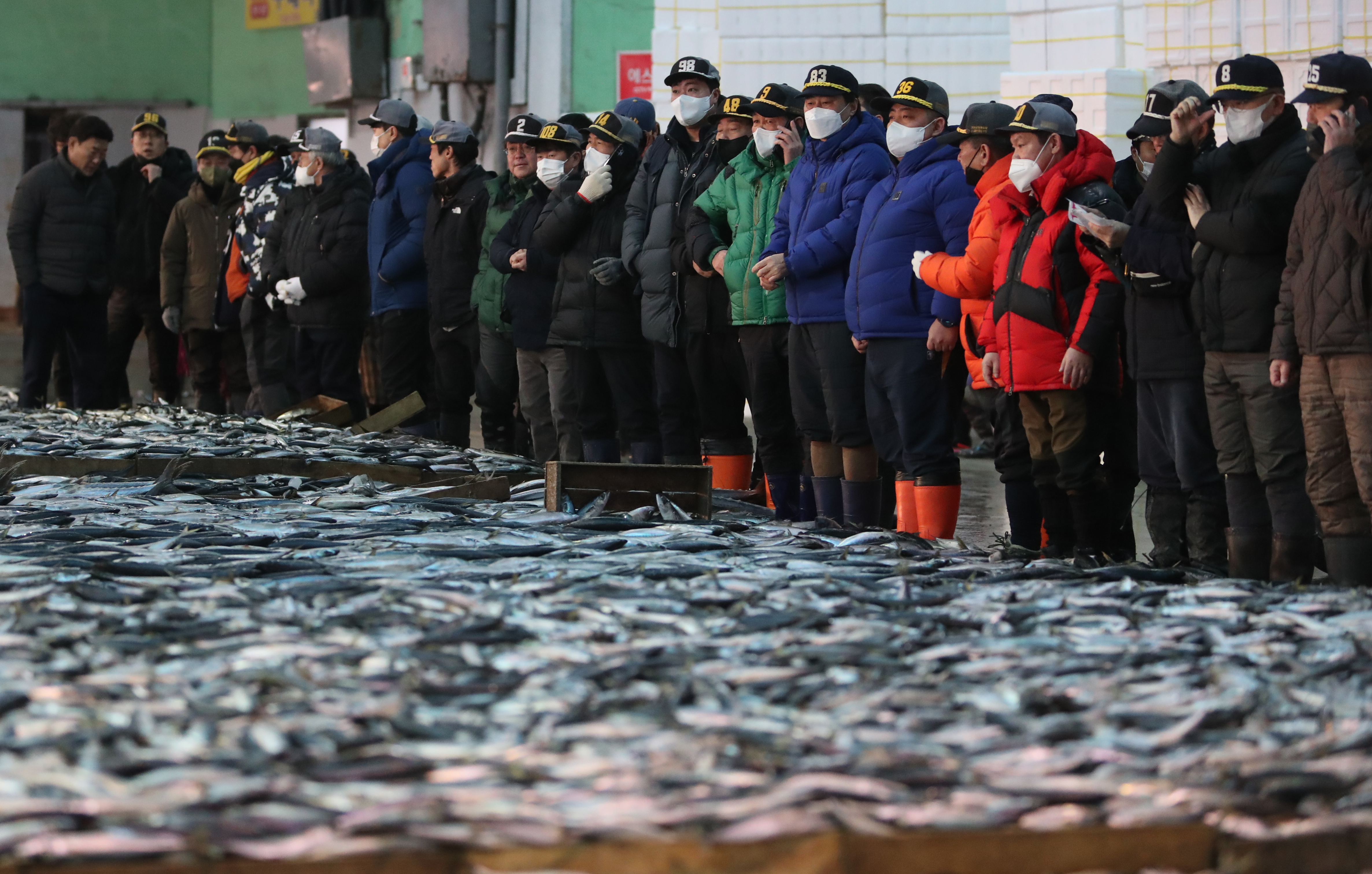 새해 첫 경매 열린 부산공동어시장