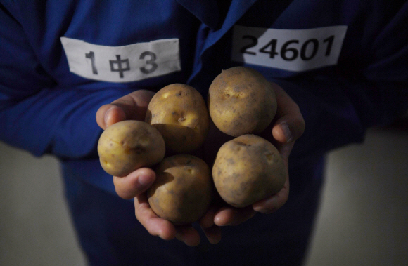 장발장 수인번호 24601… 감자 다섯 알의 죗값을 묻습니다