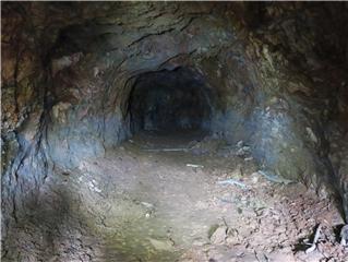 군산대학교 안에서 발견된 동굴 입구. 군산대 제공