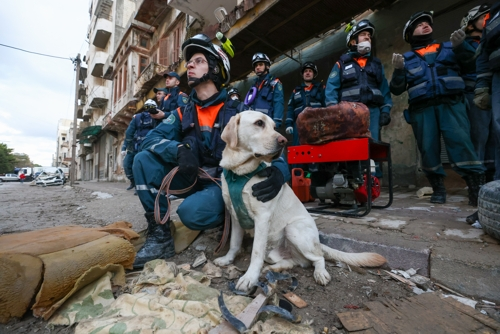 지진 피해를 돕기 위해 러시아의 구조대와 탐지견이 시리아에 도착해 생존자 수색작업을 펼치고 있다. 자블라 타스 연합뉴스