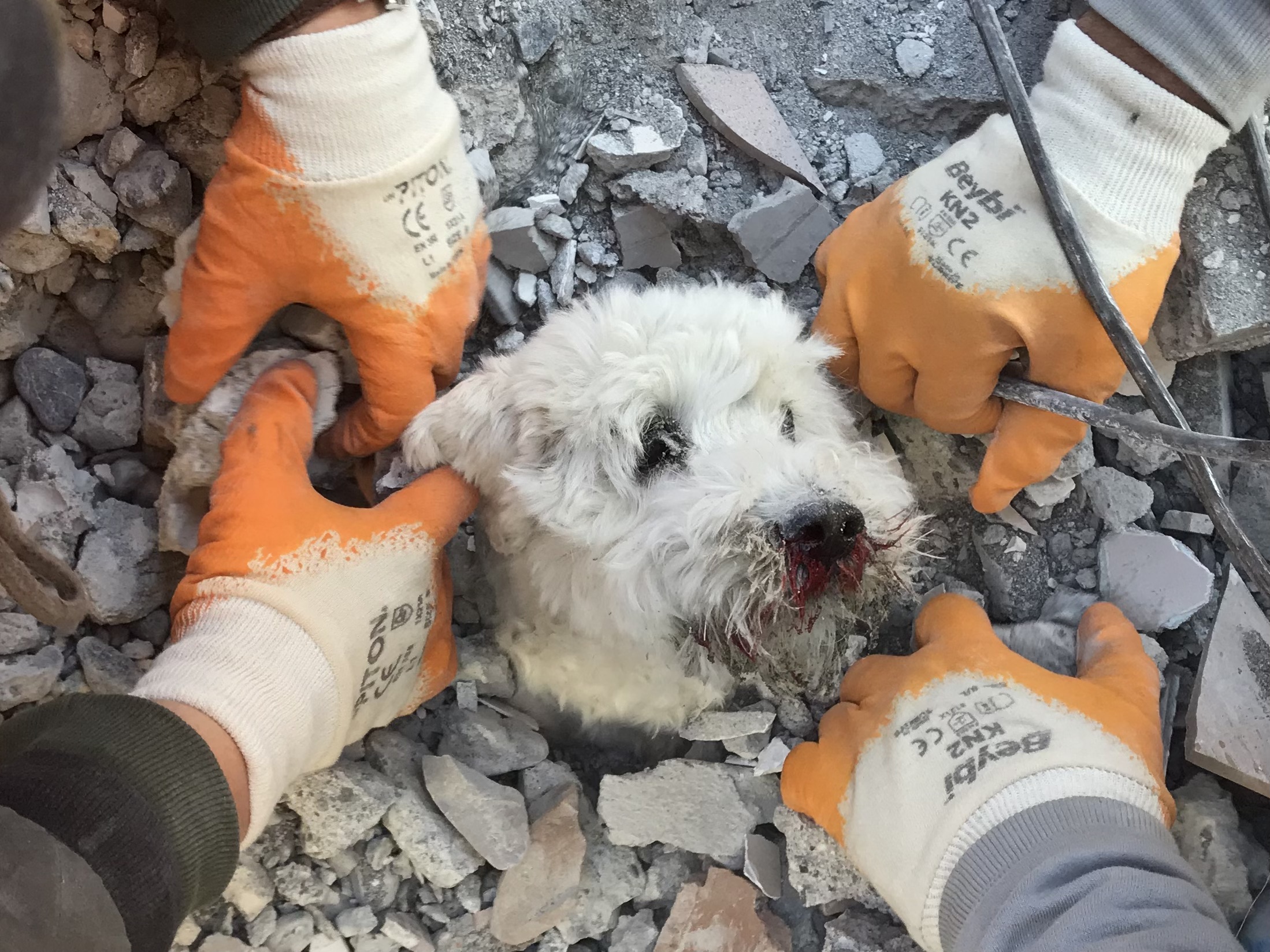 튀르키예 건물 잔해서 생존·구조되는 개
