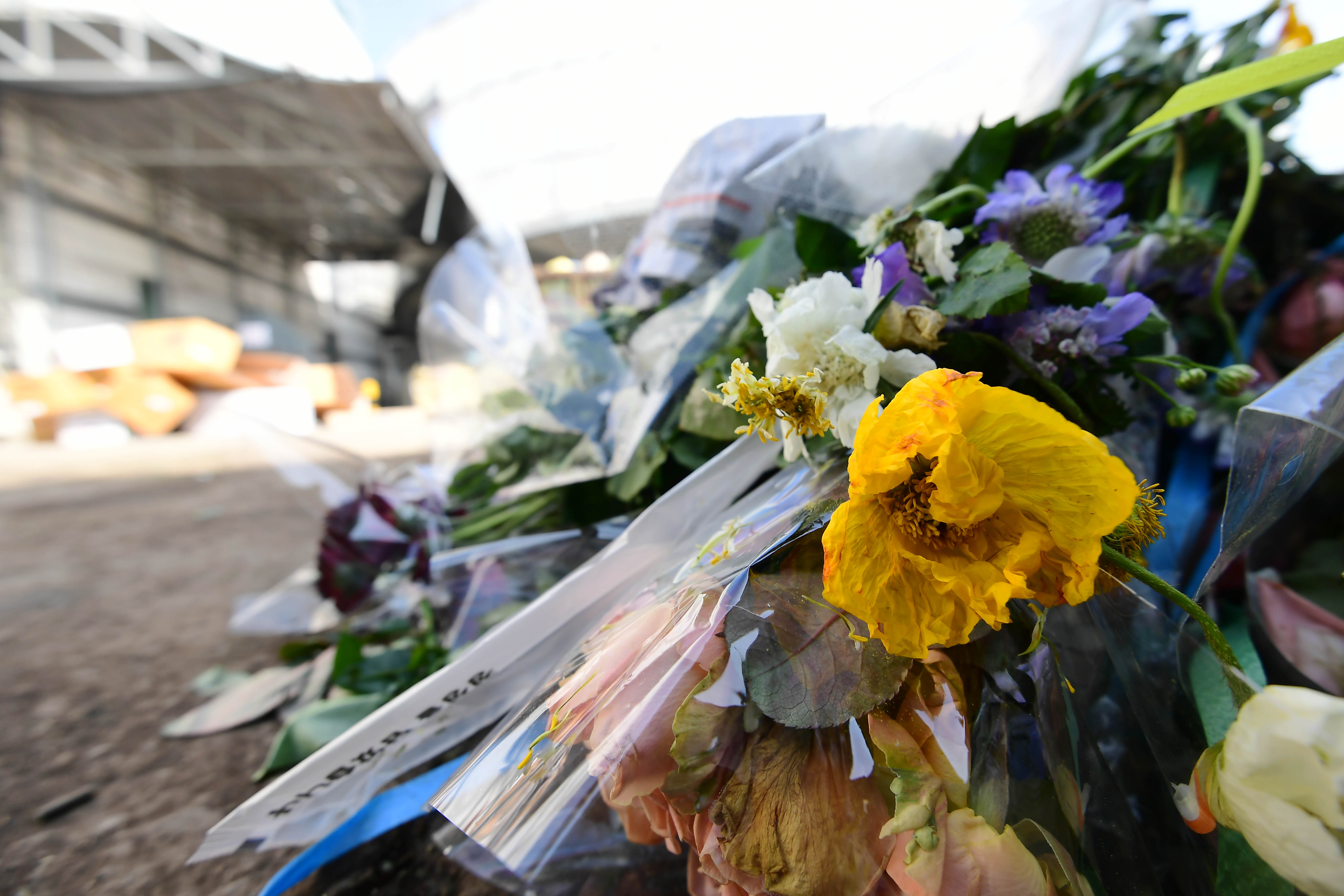 14일 서울의 한 꽃시장 뒤편 쓰레기장에 팔리지 못하고 시들어버린 꽃이 버려져 있다.  홍윤기 기자
