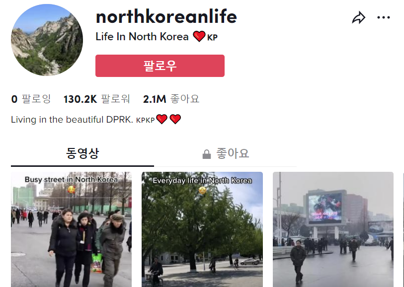 ‘틱톡’에 개설된 북한 영상 계정. 틱톡 앱 화면 캡처