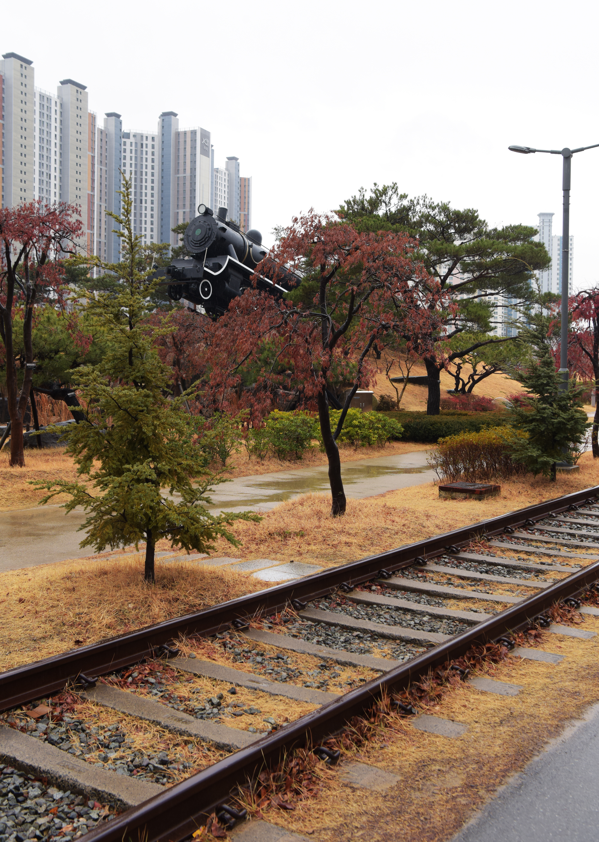 포항 도심을 관통하는 옛 철길에 조성된 철길숲.