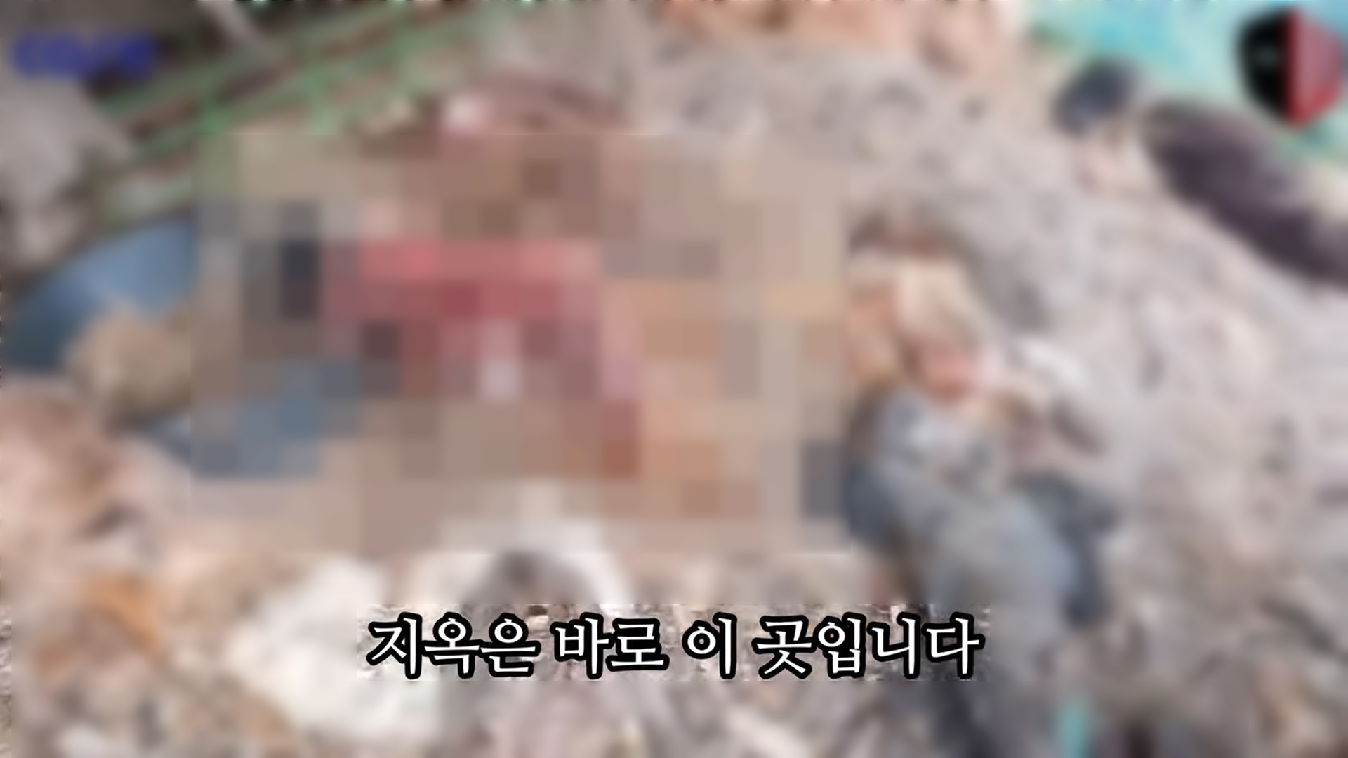 양평군서 무더기로 발견된 개 사체  마당에 쌓여 있는 개 사체. 동물권단체 케어 제공