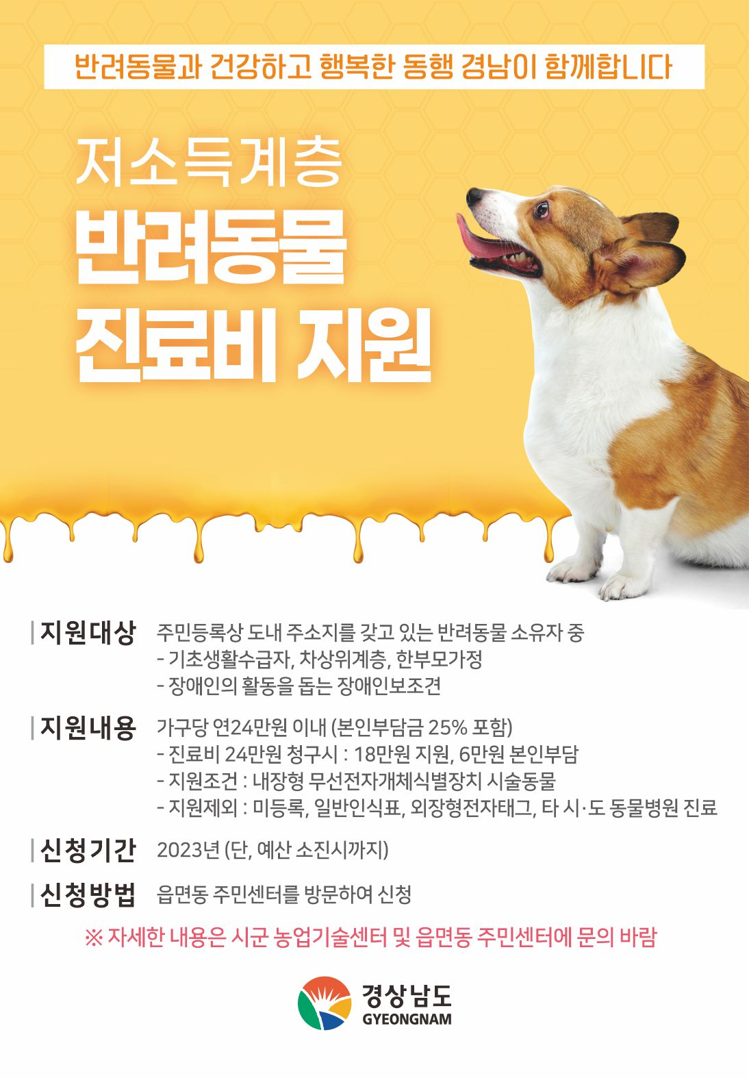 반려동물 진료비 지원 안내 포스터