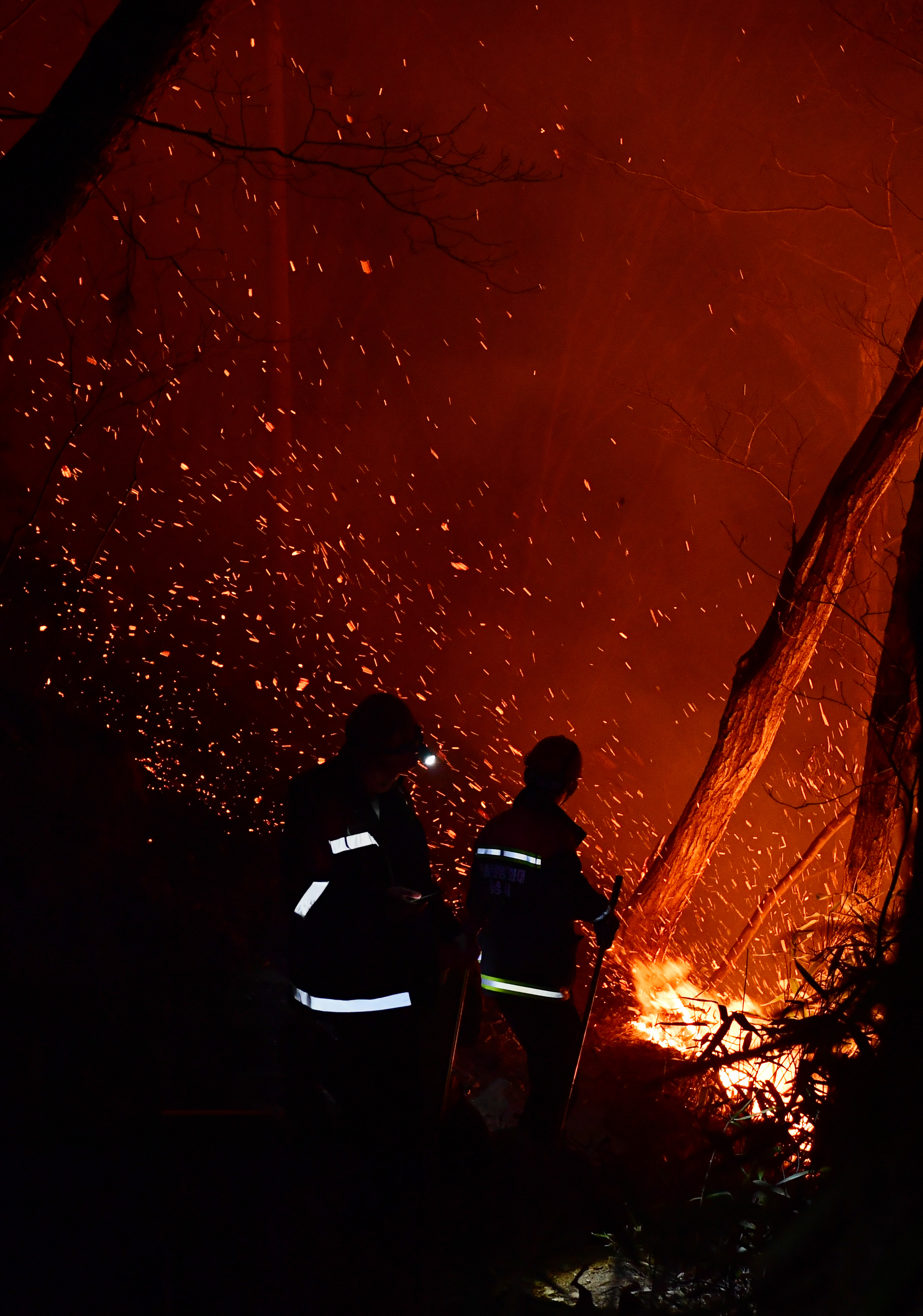 산불예방진화대 대원들이 지난 11일 오후 경남 하동군 화개면 지리산 자락에서 발생한 산불을 진화하고 있다. 하동 뉴시스