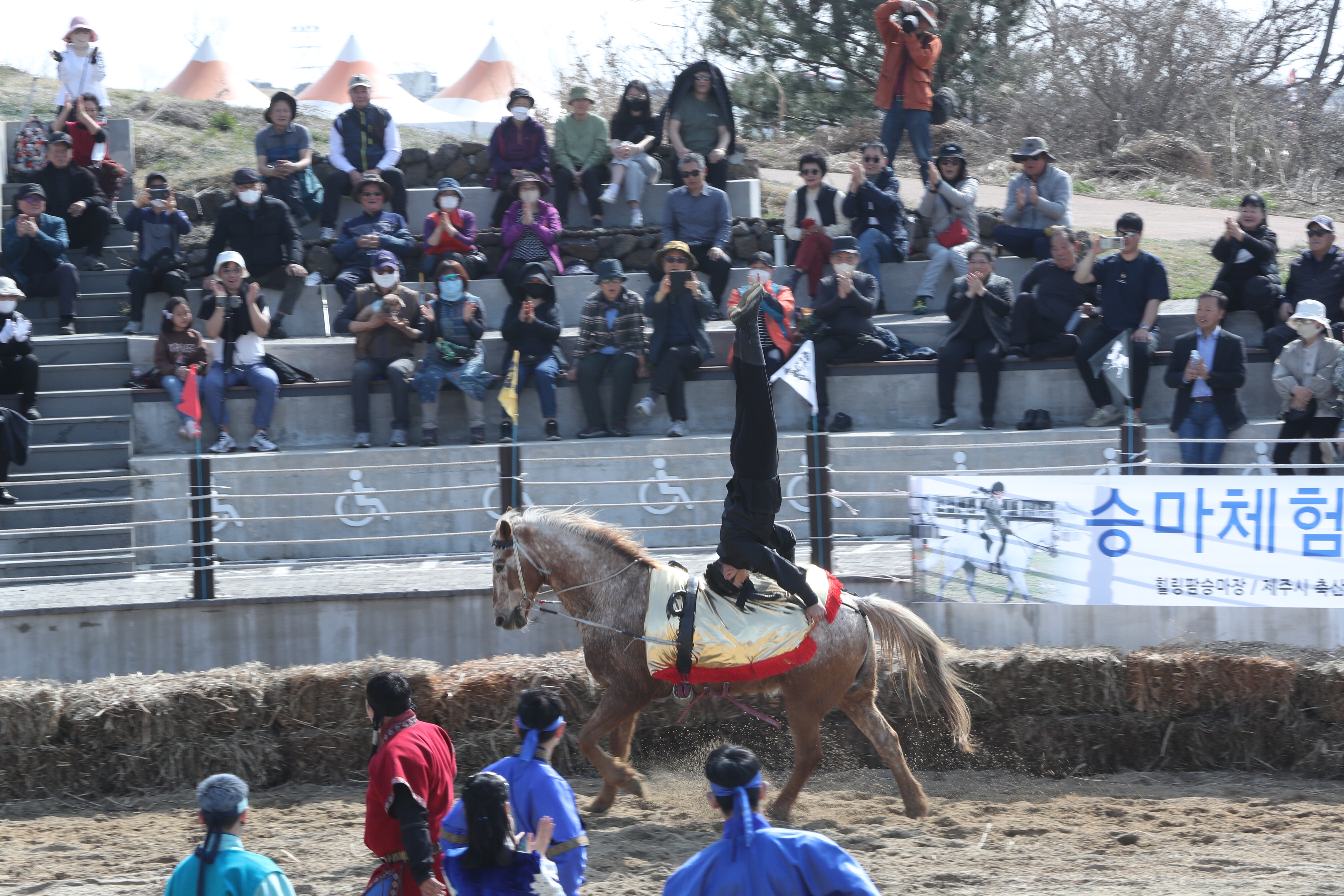 제주들불축제 행사 중 하나인 마상마예공연 모습. 제주시 제공