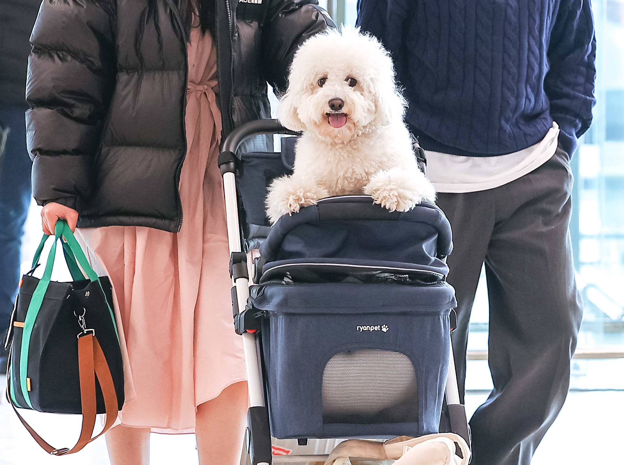 강아지도 설레는 제주여행