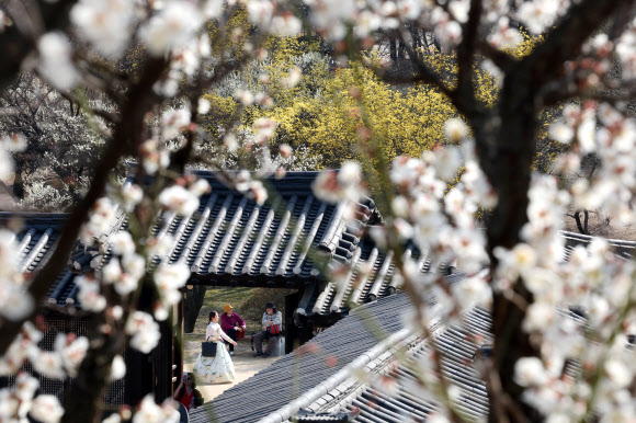 21일 오후 서울 종로구 창덕궁을 찾은 시민들이 낙선재 일대를 관람하며 봄의 정취를 만끽하고 있다. 창덕궁은 이날부터 4월 6일까지 매주 화요일~목요일 오후에 낙선재 후원 일대를 둘러보는 ‘봄을 품은 낙선재’ 프로그램을 운영한다. 2023.3.21 연합뉴스