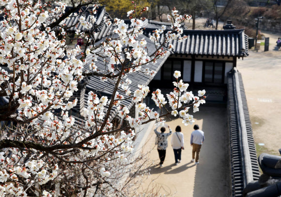 21일 오후 서울 종로구 창덕궁을 찾은 시민들이 낙선재 일대를 관람하며 봄의 정취를 만끽하고 있다. 창덕궁은 이날부터 4월 6일까지 매주 화요일~목요일 오후에 낙선재 후원 일대를 둘러보는 ‘봄을 품은 낙선재’ 프로그램을 운영한다. 2023.3.21 연합뉴스
