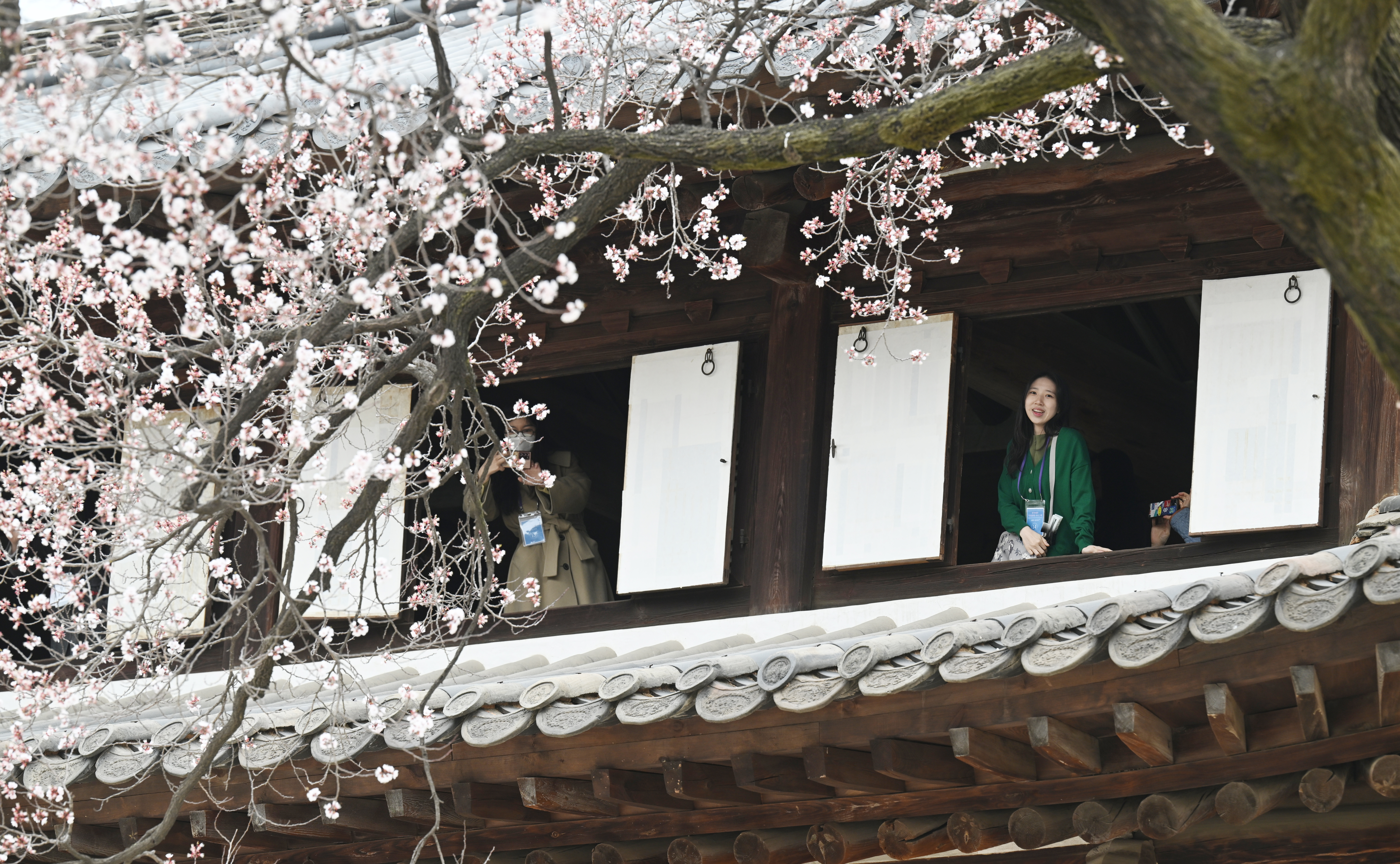 28일 오전 서울 덕수궁에서 열린 ‘석어당 살구꽃으로 덕수궁 봄을 맞다’ 행사 참가자들이 석어당 내부에서 만개한 살구꽃을 바라보고 있다.     덕수궁은 궁궐에서 보기 드문 2층 목조 건물인 석어당 전각에서 궁궐을 내려다보고, 중화전, 함녕전 등 주요 전각을 관람할 수 있는 ‘석어당 살구꽃으로 덕수궁 봄을 맞다’ 프로그램을 오는 5일까지 진행한다. 2023.3.28  안주영 전문기자