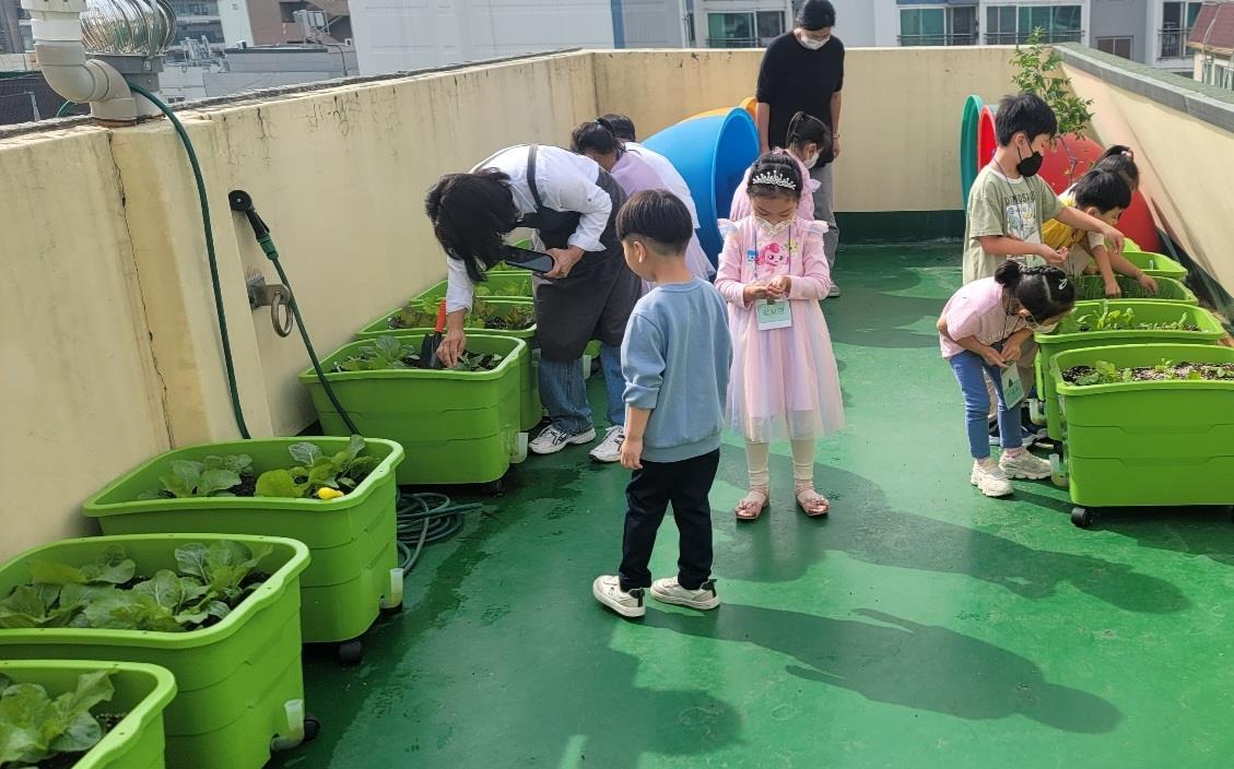 금천구 어린이집 아이들이 상자텃밭에서 채소를 가꾸고 있다. 금천구 제공